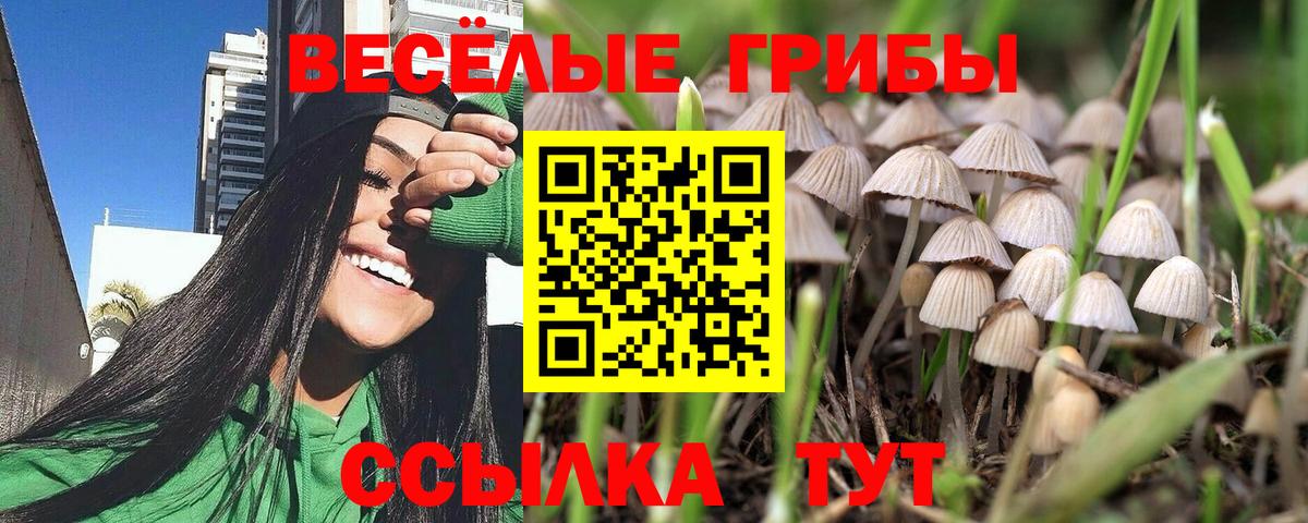 Галлюциногенные грибы прущие грибы  Вход с VPN  закладки  Бугульма 